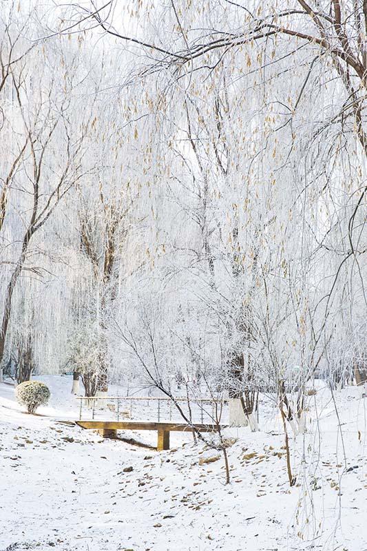Kate Fondo de bosque de escena de nieve de invierno diseñado por Emetselch