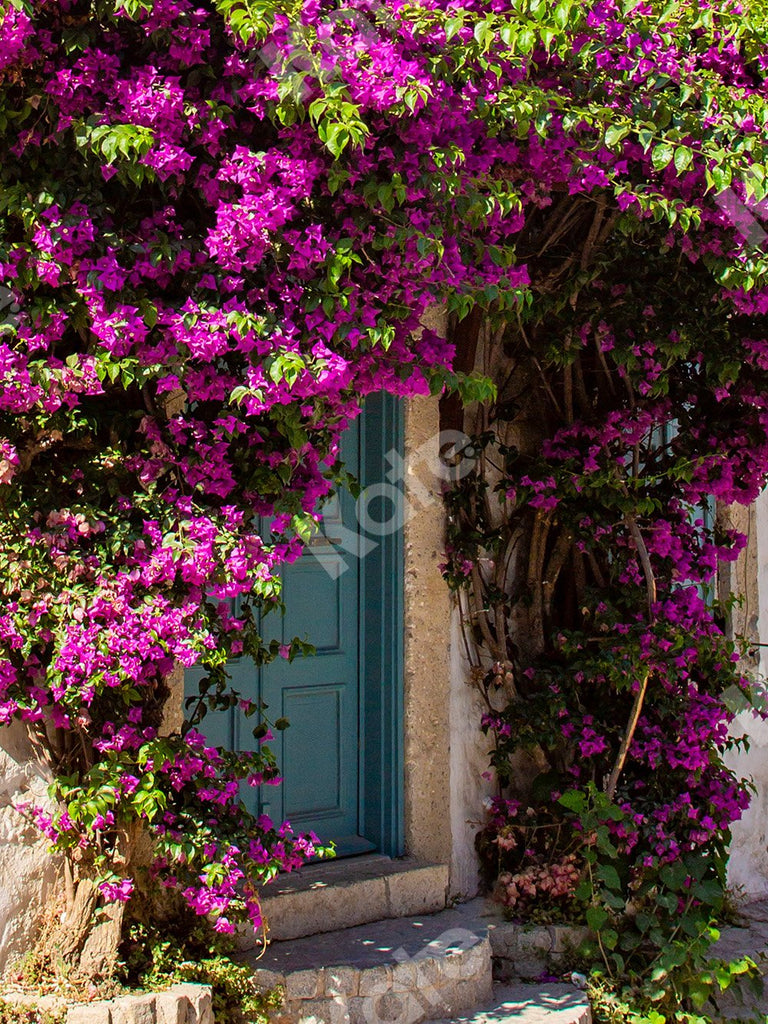 Kate Puerta de flores de fondo de verano diseñada por Emetselch