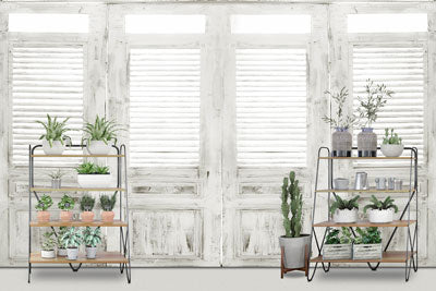Kate Telón de fondo de habitación de ventana blanca de flor de primavera diseñado por Claire