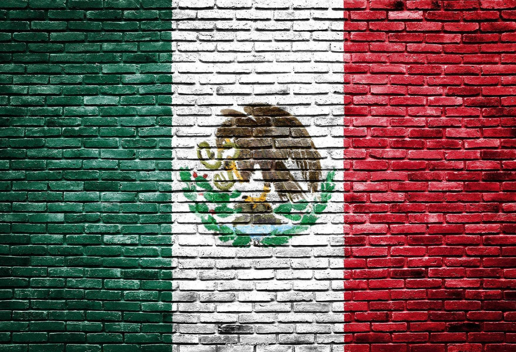 Katebackdrop£ºKate Mexico's National Fag Painted On Bricks for Photography