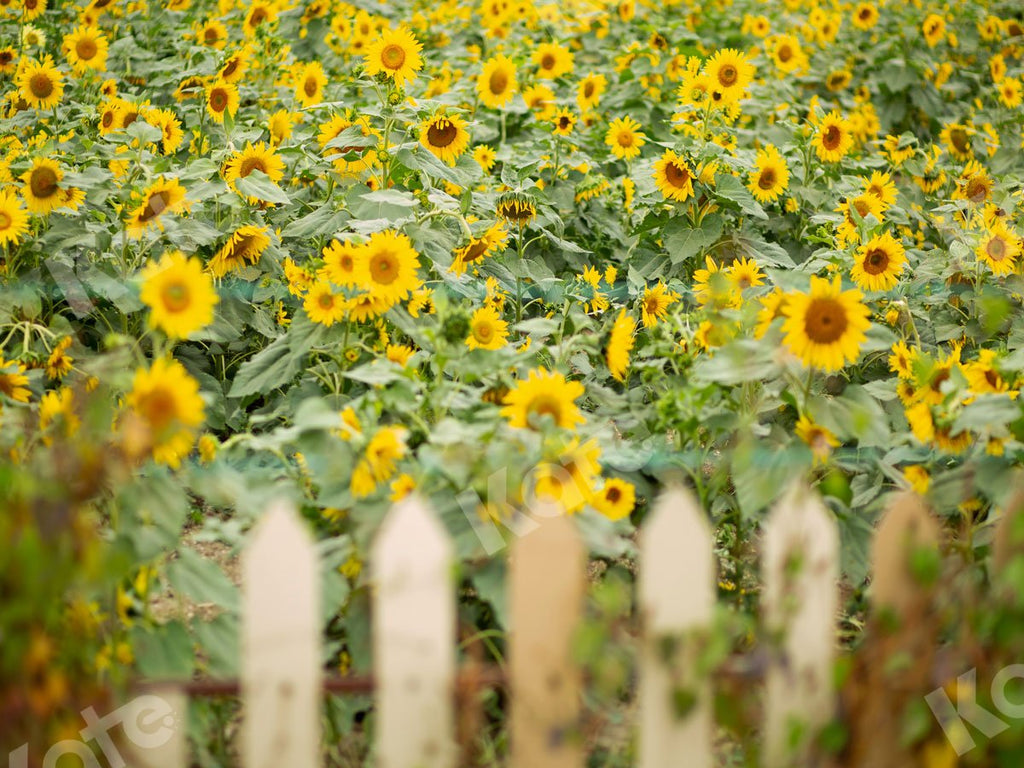 Kate Telón de fondo de primavera de jardín de girasoles de Jia Chan Photography