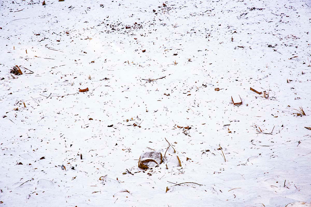Kate Fondo de campo de nieve de invierno diseñado por Emetselch