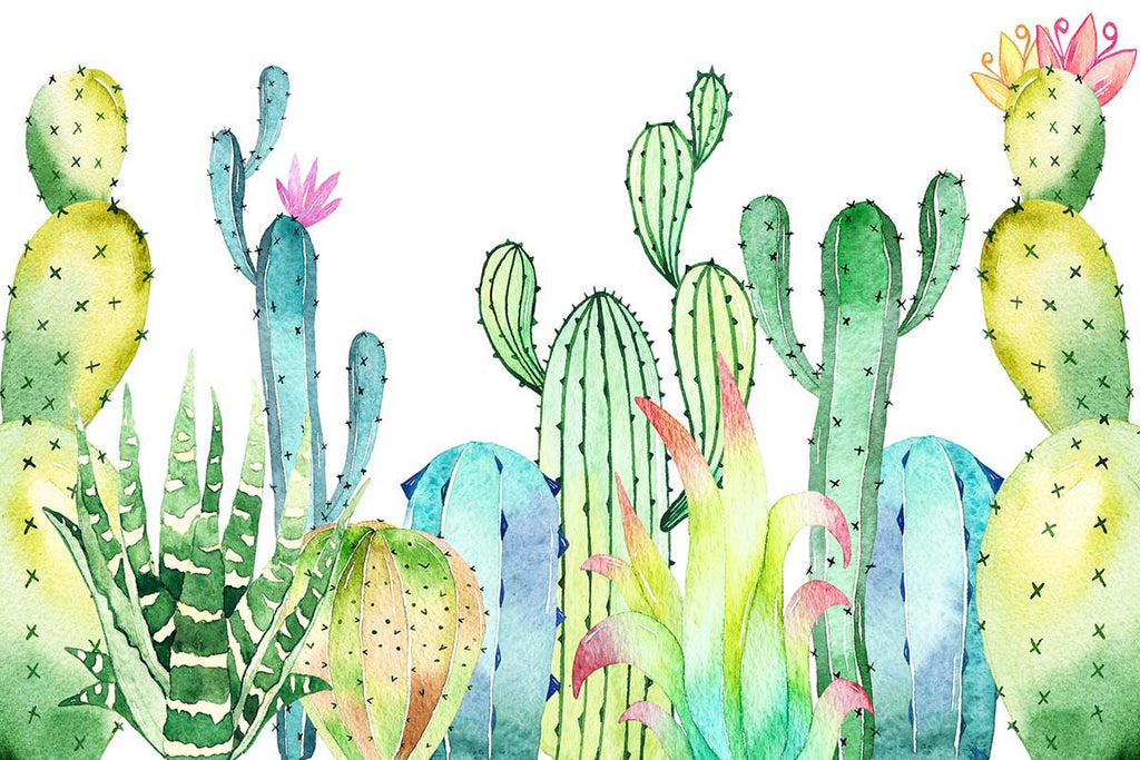 Kate Fondo de cumpleaños de verano cactus Cake Smash Fine Art diseñado por Chain Photography