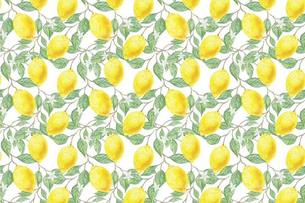 Kate Fondo amarillo de limones frescos de primavera / verano diseñado por Chain Photography