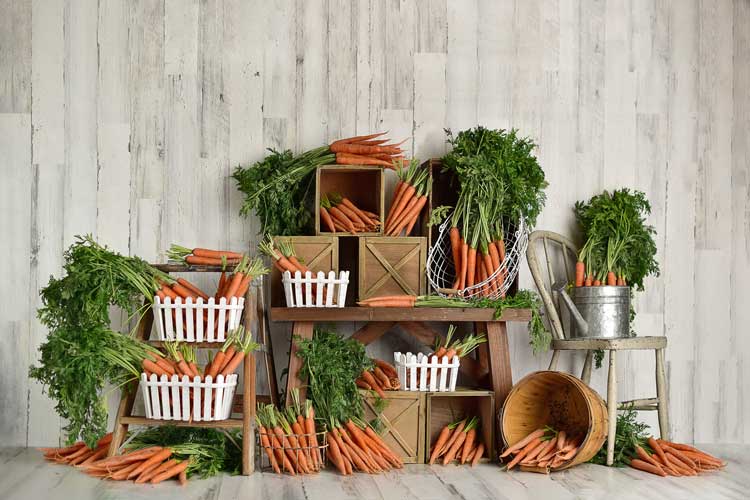 Kate primavera \ pascua Zanahorias Fondo para niños diseñado por Mandy Ringe Photography