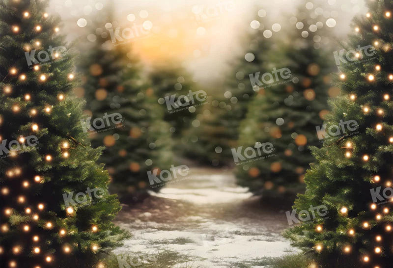 Kate Árbol de Navidad al aire libre Bokeh Luz de fondo para la fotografía