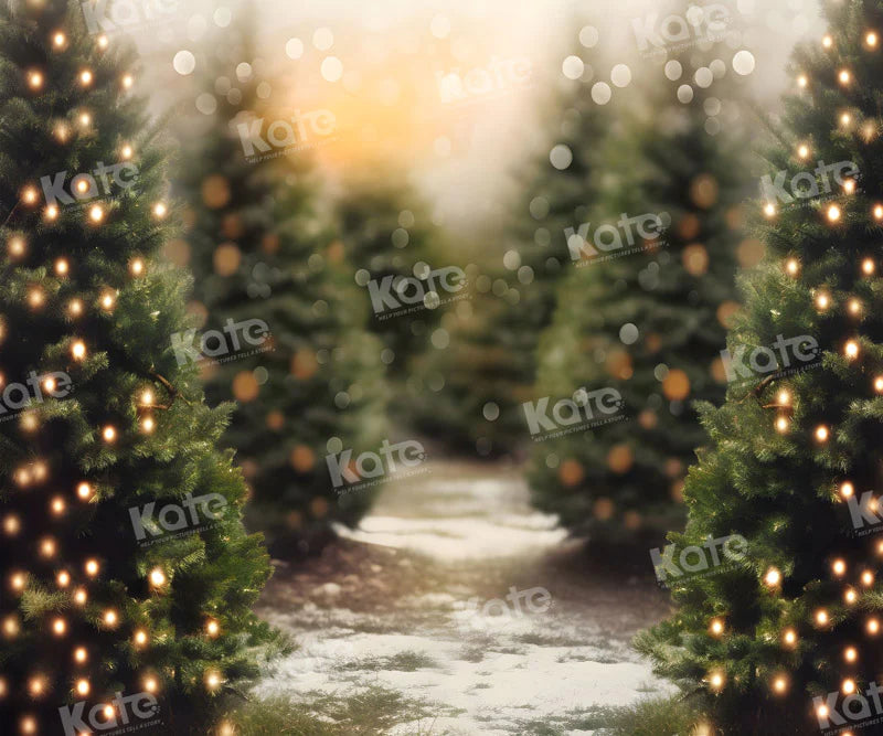 Kate Árbol de Navidad al aire libre Bokeh Luz de fondo para la fotografía