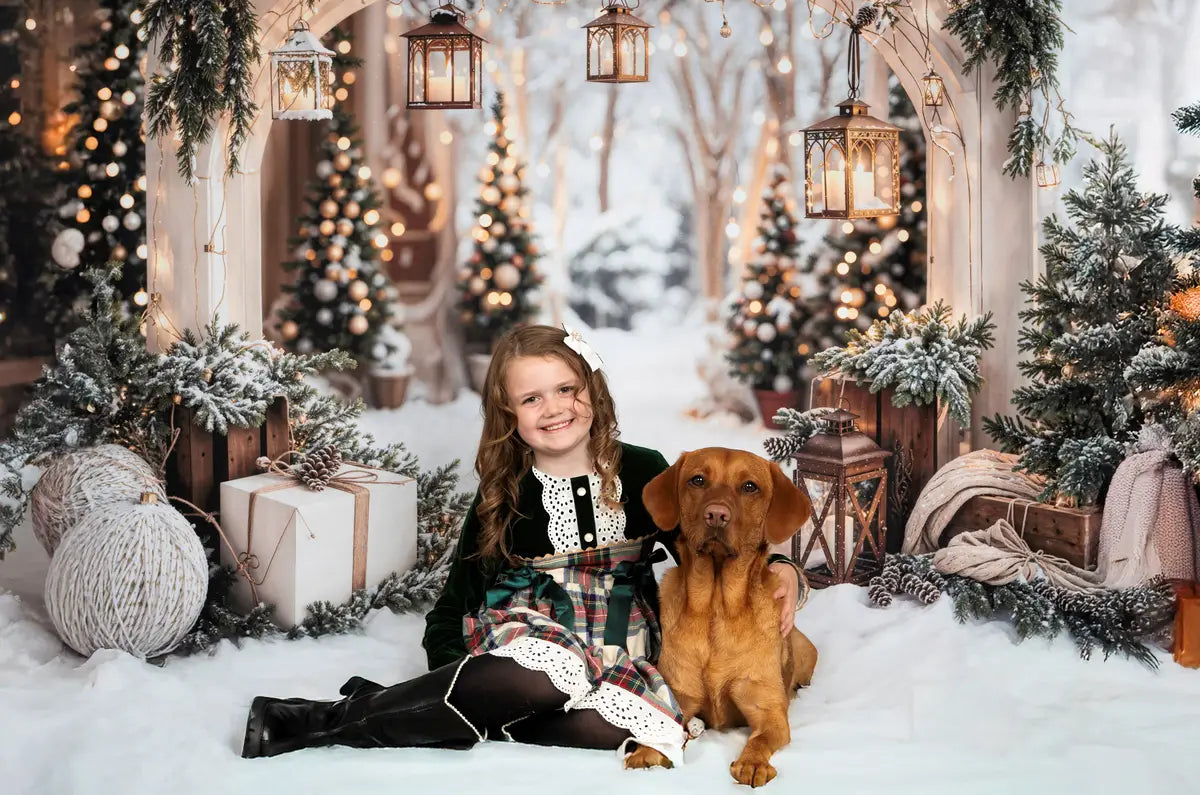 Kate Christmas Arch Garland Snow Trees Printed Backdrop Designed by Emetselch