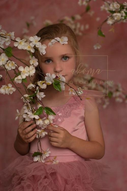 Katebackdrop£ºKate Pink Rosy Blush Backdrop for Photography Designed by Modest Brushes