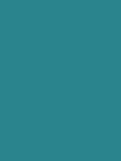 Katebackdrop：Kate Blue Green Solid Photography Backdrop