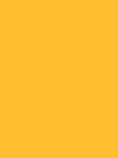 Katebackdrop：Kate Gold Yellow Solid Cloth Photography Fabric Backdrop