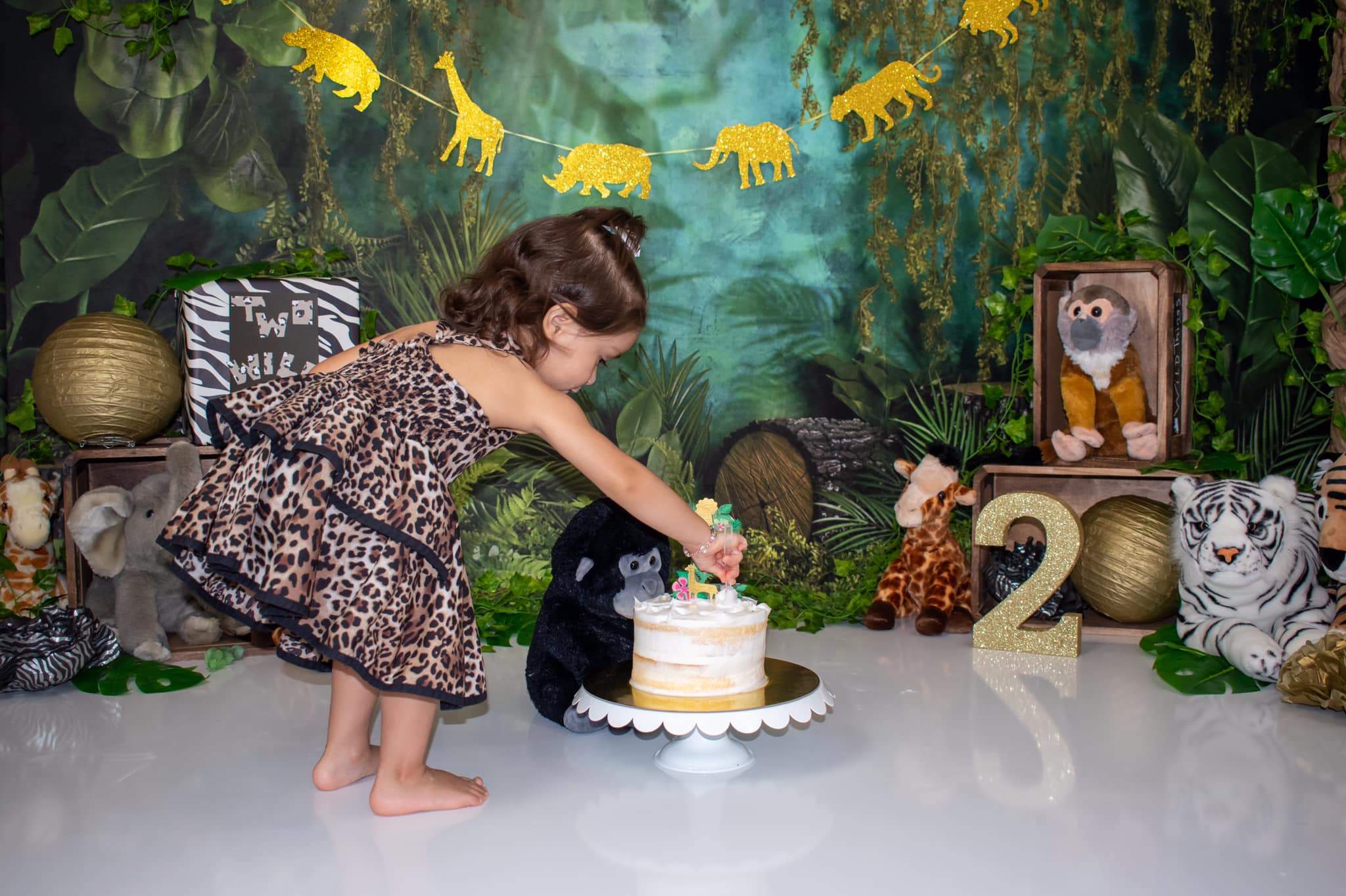 Cargar imagen en el visor de la galería, Kate Telón de fondo de la selva cumpleaños bosque niños