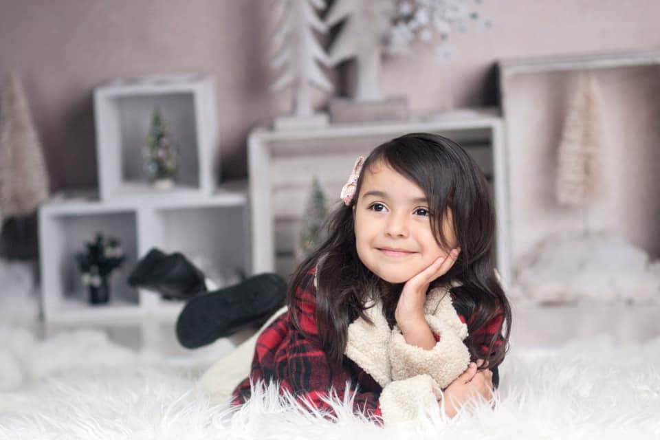 Katebackdrop：Kate Elegant Christmas Winter Display Backdrop for Photography Designed By Mandy Ringe Photography