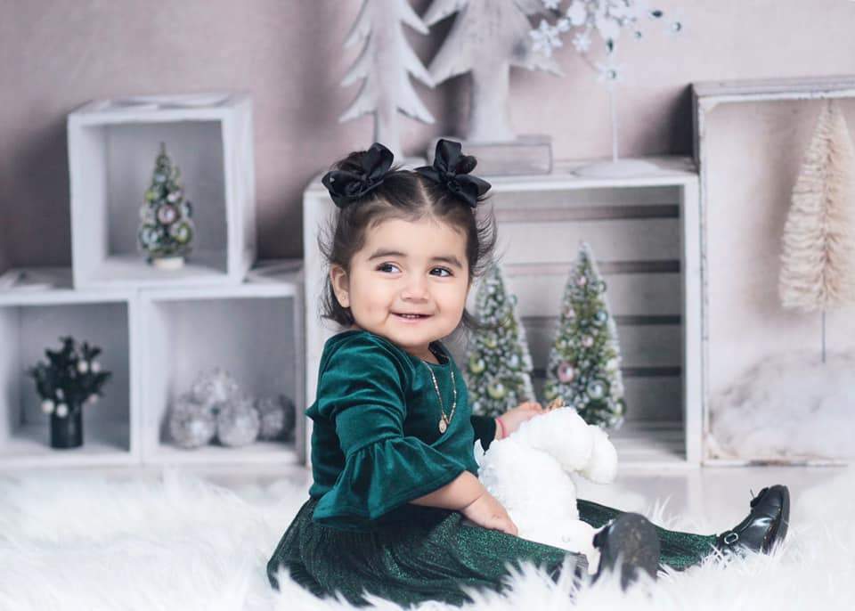 Katebackdrop：Kate Elegant Christmas Winter Display Backdrop for Photography Designed By Mandy Ringe Photography