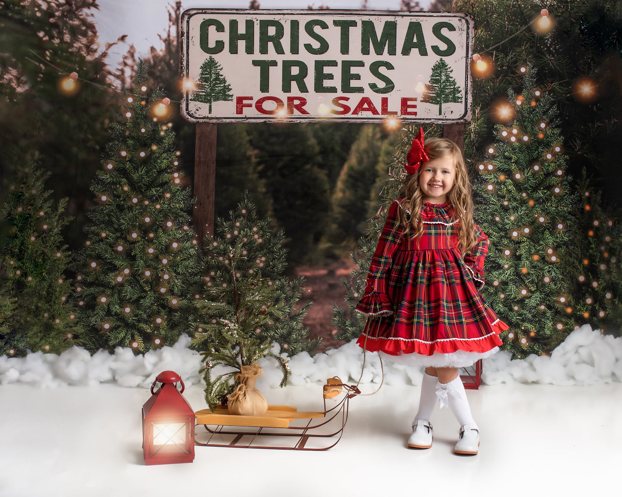 Cargar imagen en el visor de la galería, Kate Árbol de Navidad en venta Telón de fondo para fotografía