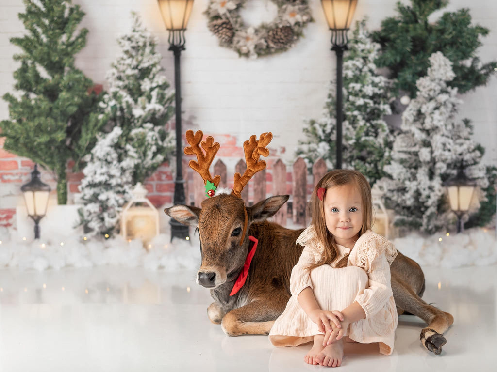 Kate Fondo de Navidad Jardín de Navidad con luces diseñado por Emetselch