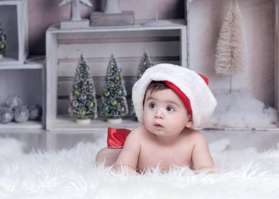 Katebackdrop：Kate Elegant Christmas Winter Display Backdrop for Photography Designed By Mandy Ringe Photography