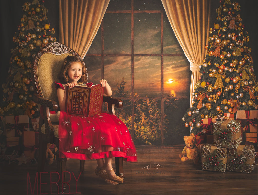 Kate Cálido telón de fondo de ventana de árboles de Navidad para fotografía