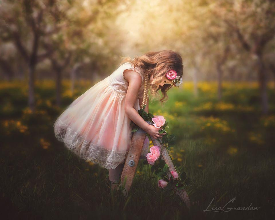 Kate Huerto de primavera en telón de fondo amarillo para fotografía diseñado por Lisa Granden
