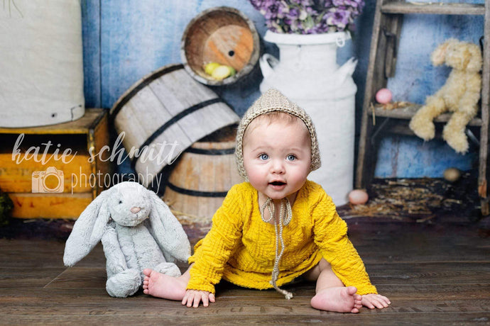 Katebackdrop：Kate Blue Easter Chicken Coop backdrop designed by Arica Kirby