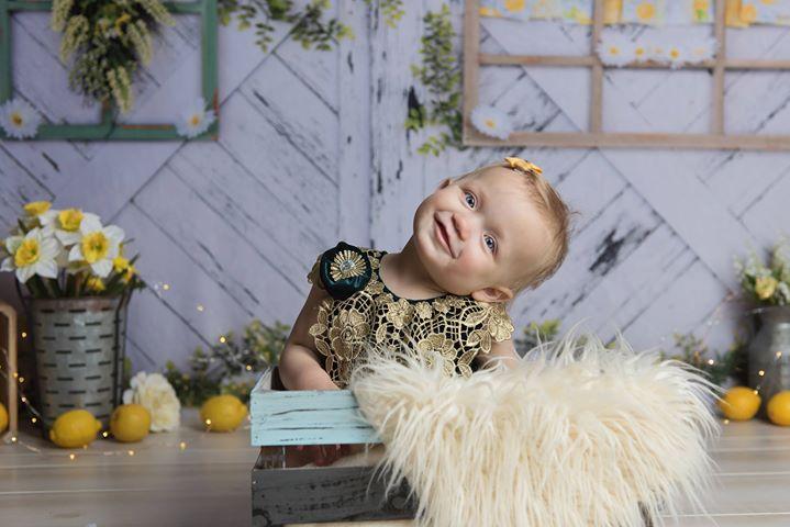 Katebackdrop£ºKate Retro Wood Lemon color and Daisies  Spring Backdrop