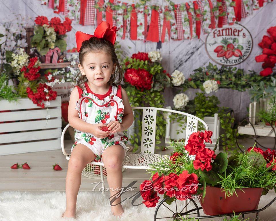 Katebackdrop£ºKate Summer Strawberry White Wooden Board With Banners Backdrop
