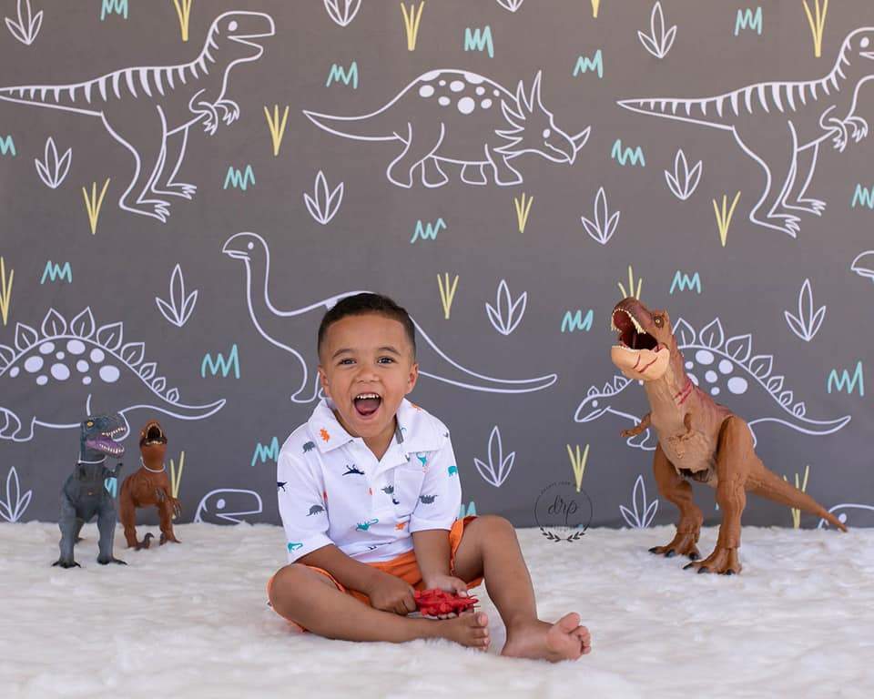 Katebackdrop£ºKate Dinosaur Park Children Backdrop for Photography Designed by Amanda Moffatt