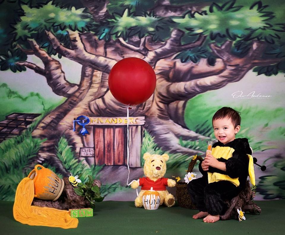 Katebackdrop：Kate Corner Tree House Forest Backdrop designed by Jerry_Sina