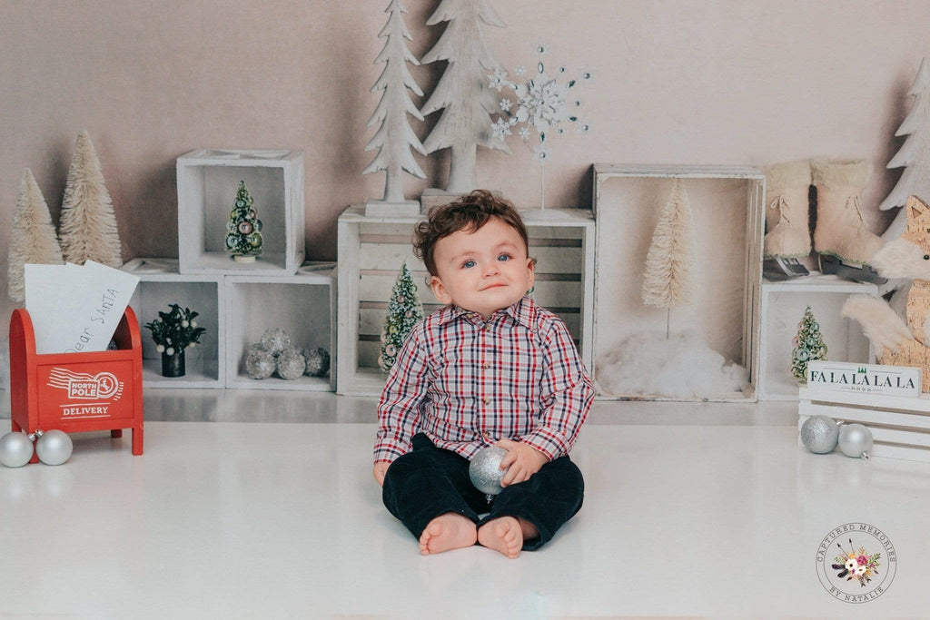 Katebackdrop：Kate Elegant Christmas Winter Display Backdrop for Photography Designed By Mandy Ringe Photography
