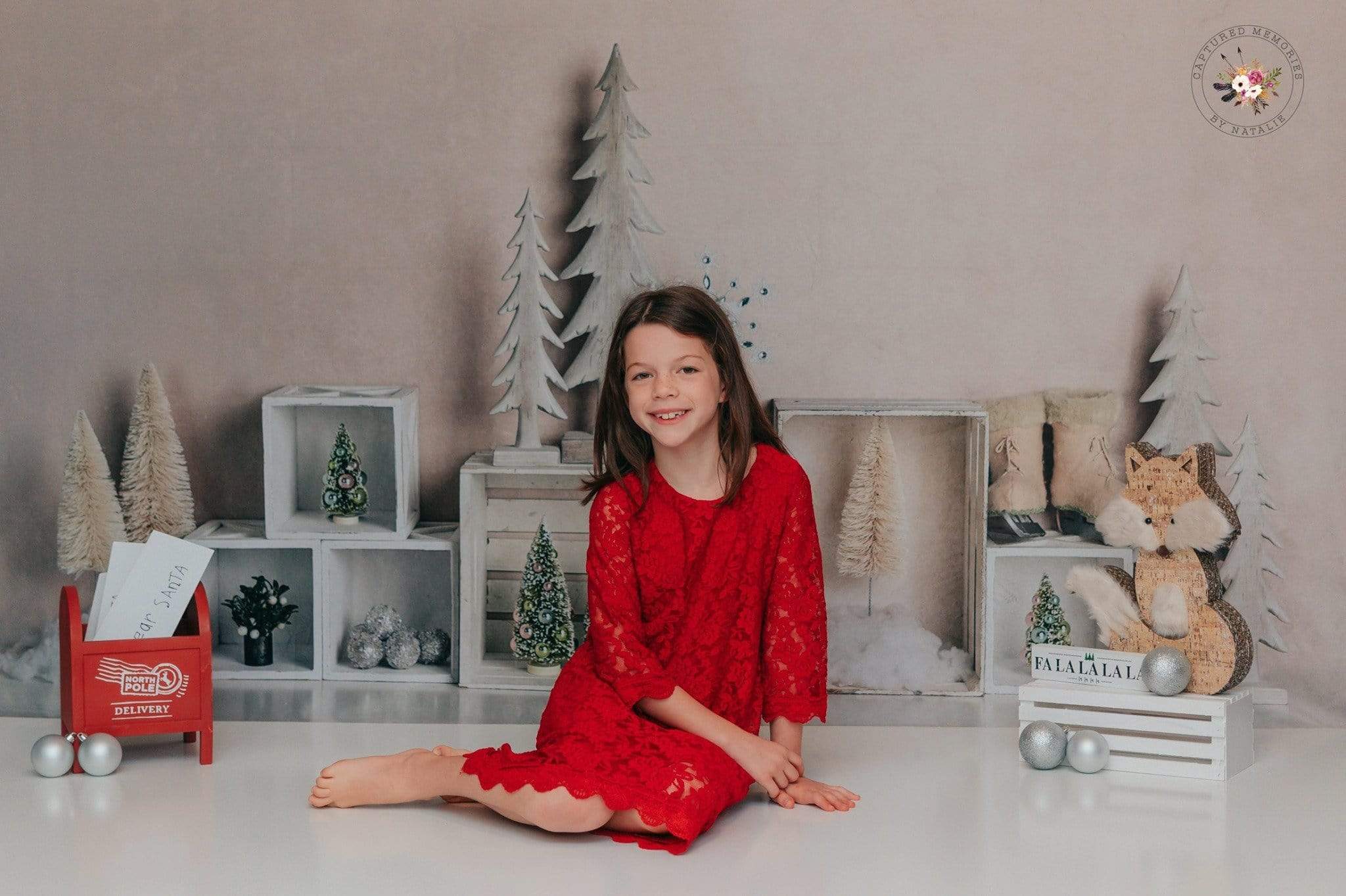 Katebackdrop：Kate Elegant Christmas Winter Display Backdrop for Photography Designed By Mandy Ringe Photography