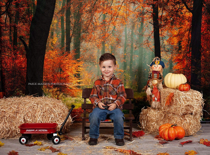 Katebackdrop£ºKate Autumn Forest With Maple And Green Grass for Photography