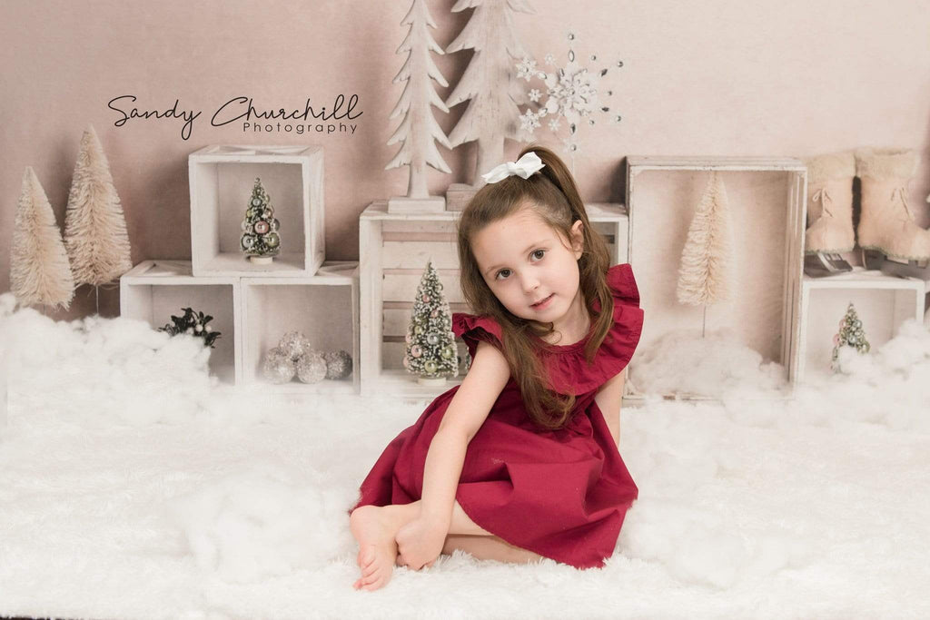 Katebackdrop：Kate Elegant Christmas Winter Display Backdrop for Photography Designed By Mandy Ringe Photography