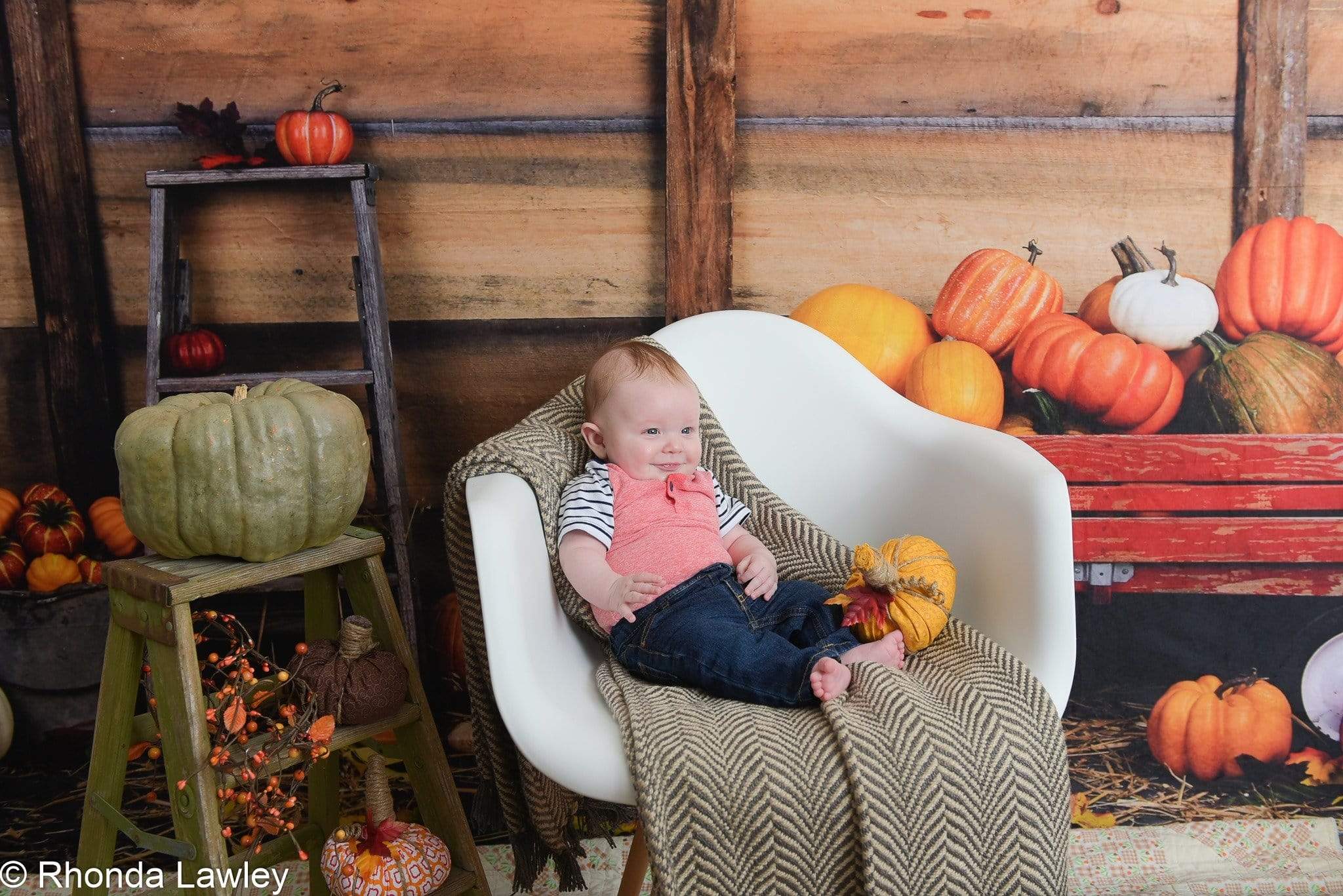 Katebackdrop：Kate Pumpkin Harvest Backdrop Autumn and Halloween designed by Arica Kirby