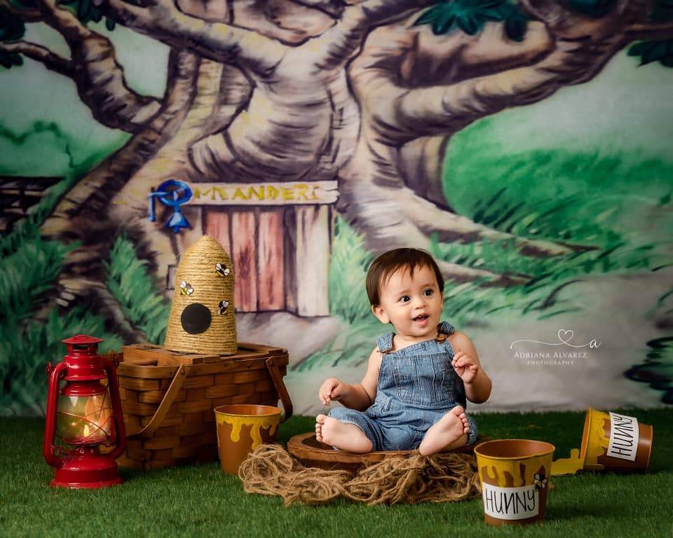 Katebackdrop：Kate Corner Tree House Forest Backdrop designed by Jerry_Sina