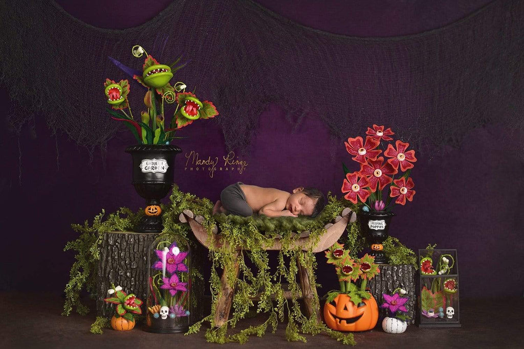 Katebackdrop£ºKate Spooky Garden Halloween Backdrop Designed By Mandy Ringe Photography