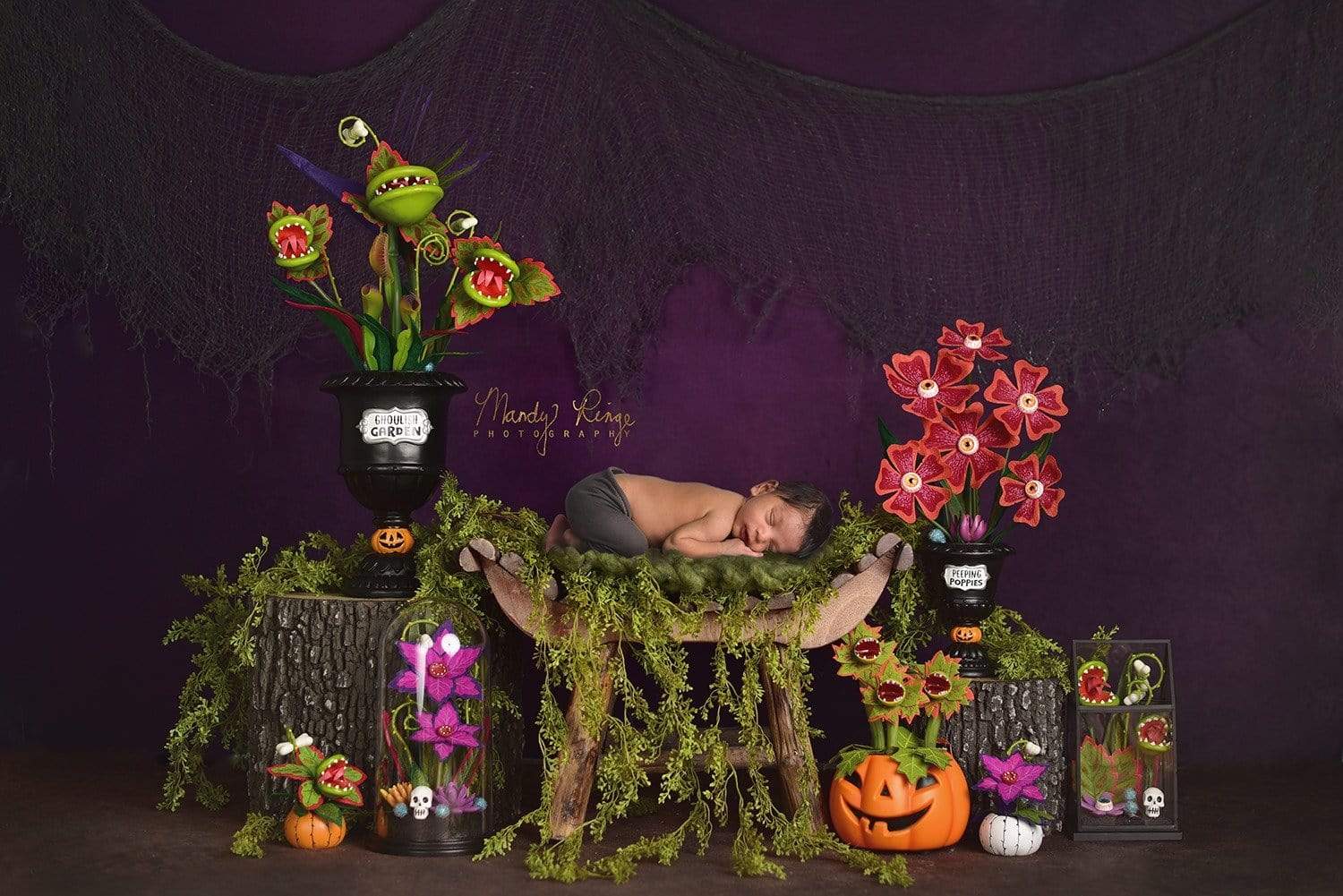 Cargar imagen en el visor de la galería, Katebackdrop£ºKate Spooky Garden Halloween Backdrop Designed By Mandy Ringe Photography