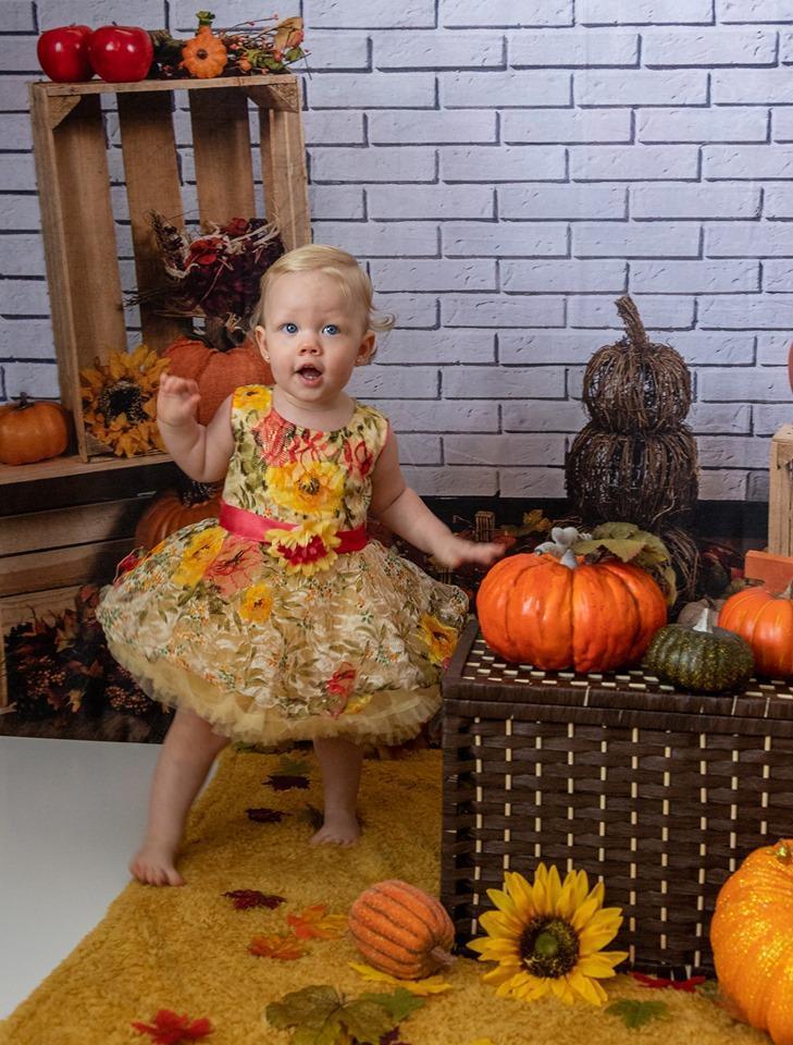 Cargar imagen en el visor de la galería, Katebackdrop£ºKate Fall Harvest Festival Pumpkin Backdrop for Photography Designed By Michele Ernst Photography