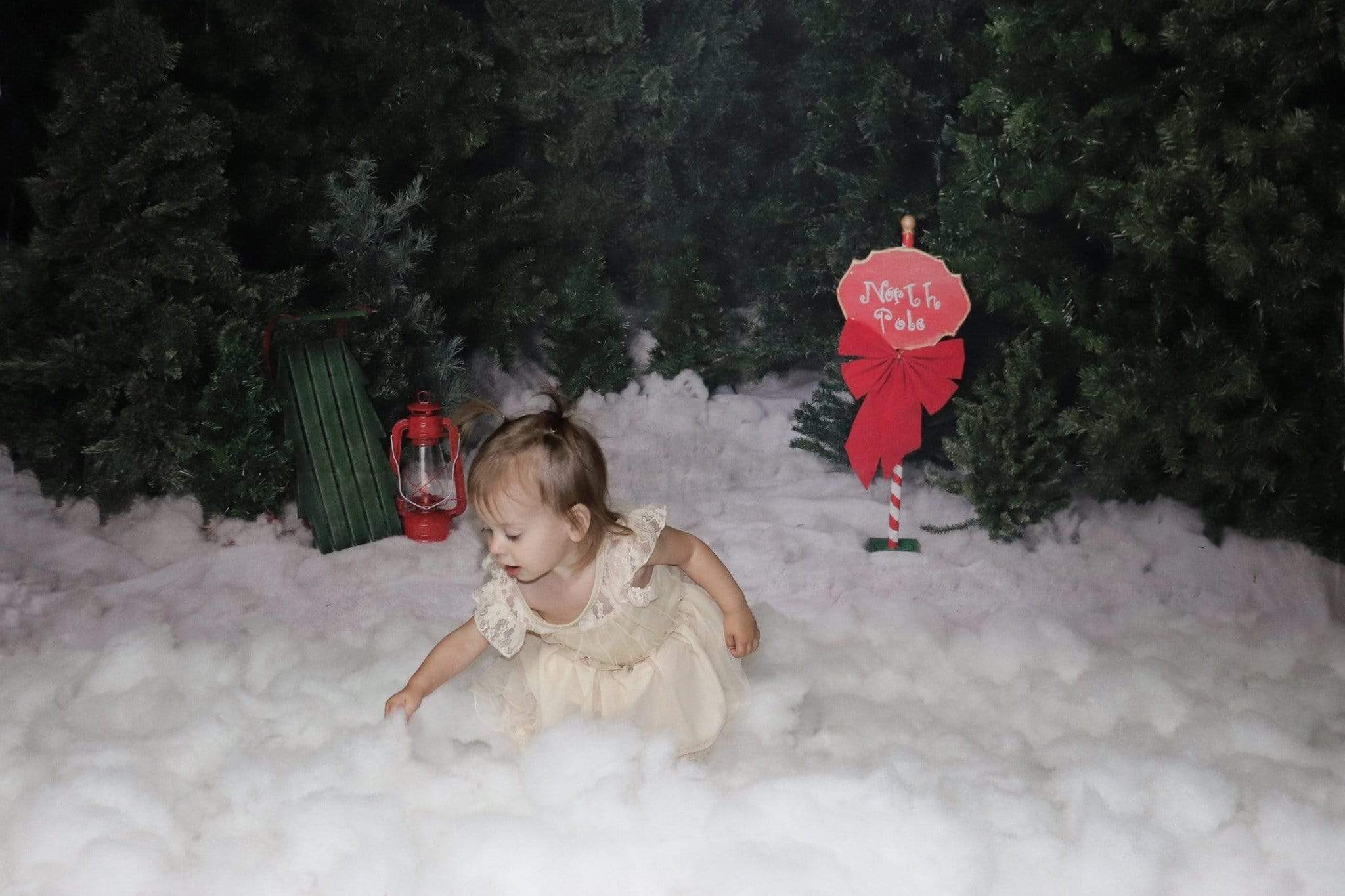 Katebackdrop£ºKate North Pole Magic Christmas Backdrop for Photography Designed by Jenna Onyia