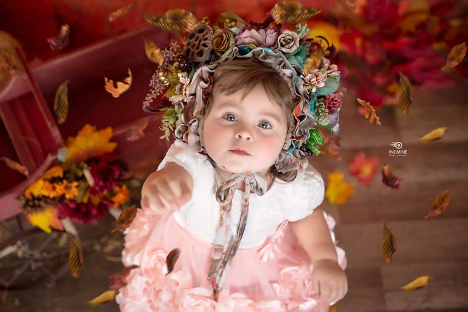 Katebackdrop£ºKate Autumn Maple Leaf Wooden Backdrops for Photography