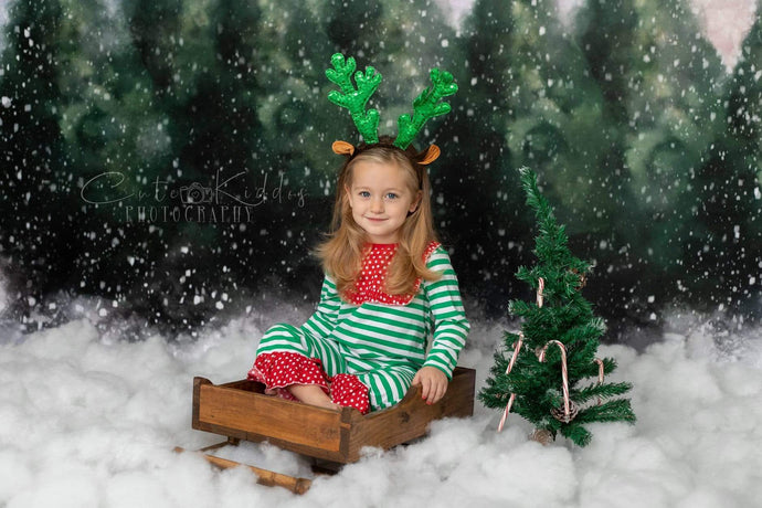 Katebackdrop：Kate Dazzling Winter Snowy Forest Backdrop for Photography Designed by Modest Brushes