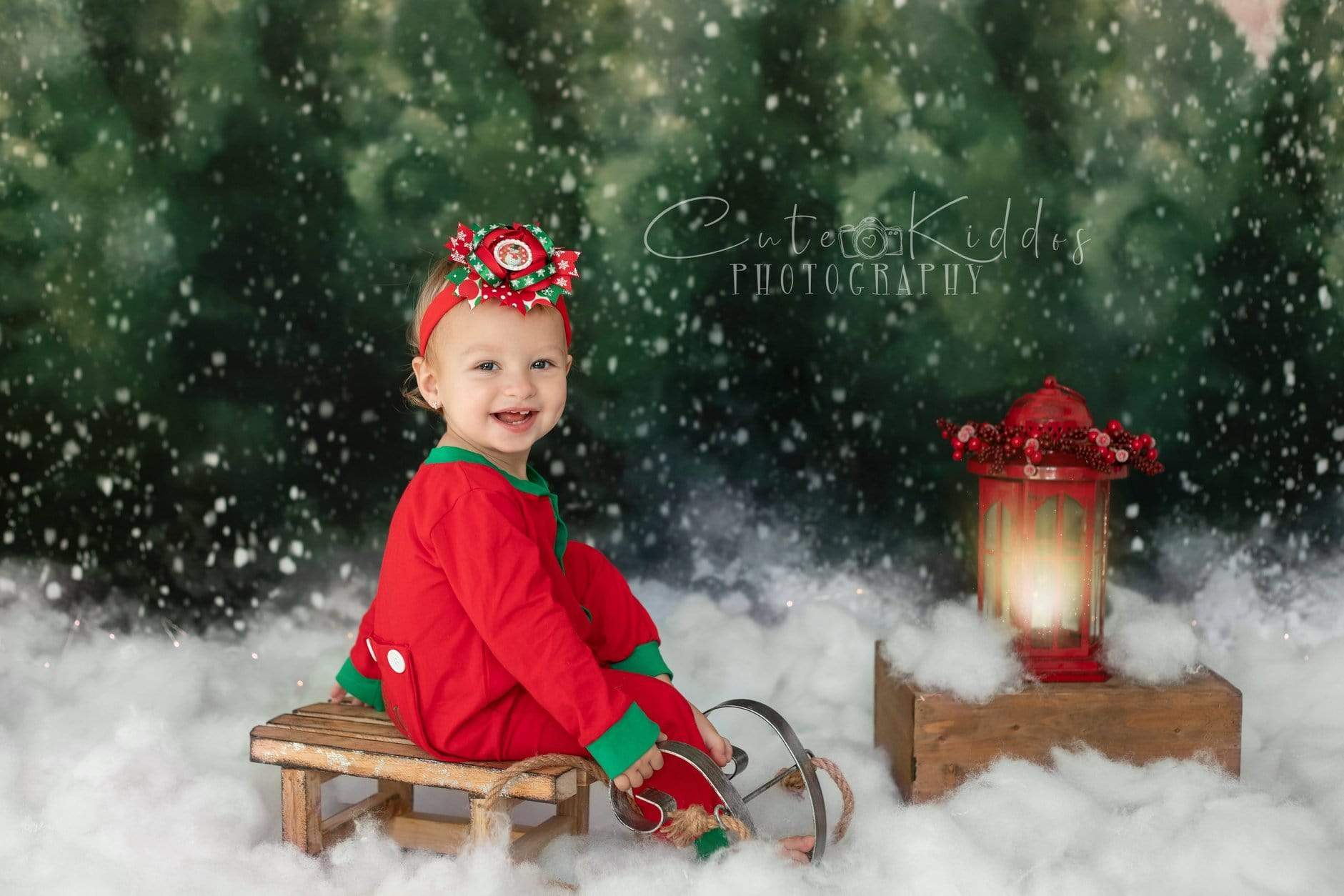 Katebackdrop：Kate Dazzling Winter Snowy Forest Backdrop for Photography Designed by Modest Brushes