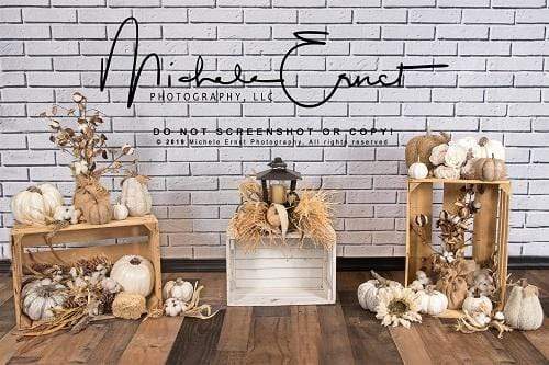 Katebackdrop£ºKate Autumn Harvest Halloween Brick Backdrop Designed By Michele Ernst Photography