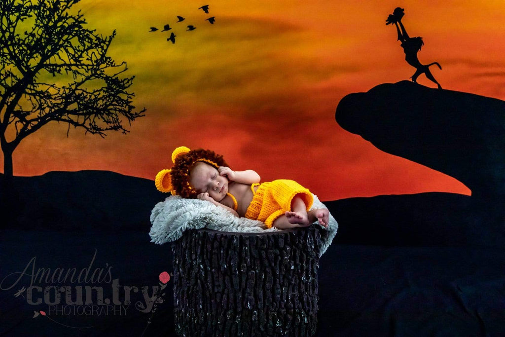 Katebackdrop£ºKate African Sunset Backdrop for Photography Designed By Stacilynnphotography