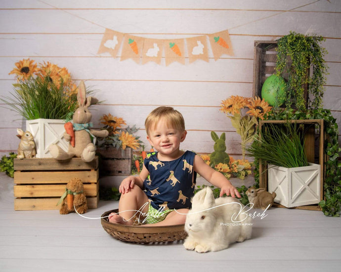 Katebackdrop£ºKate Wooden Sunflower Rabbit Spring/Easter Backdrop for Photography Designed by Jia Chan Photography