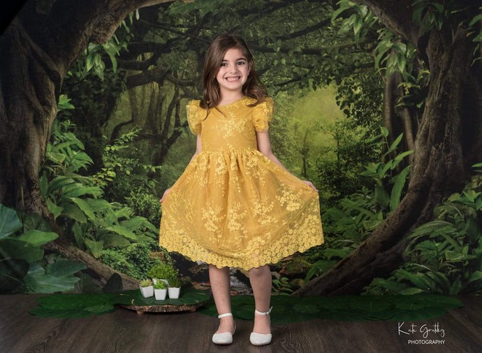 Katebackdrop：Kate Forest With Green Trees And Creek Spring for photography