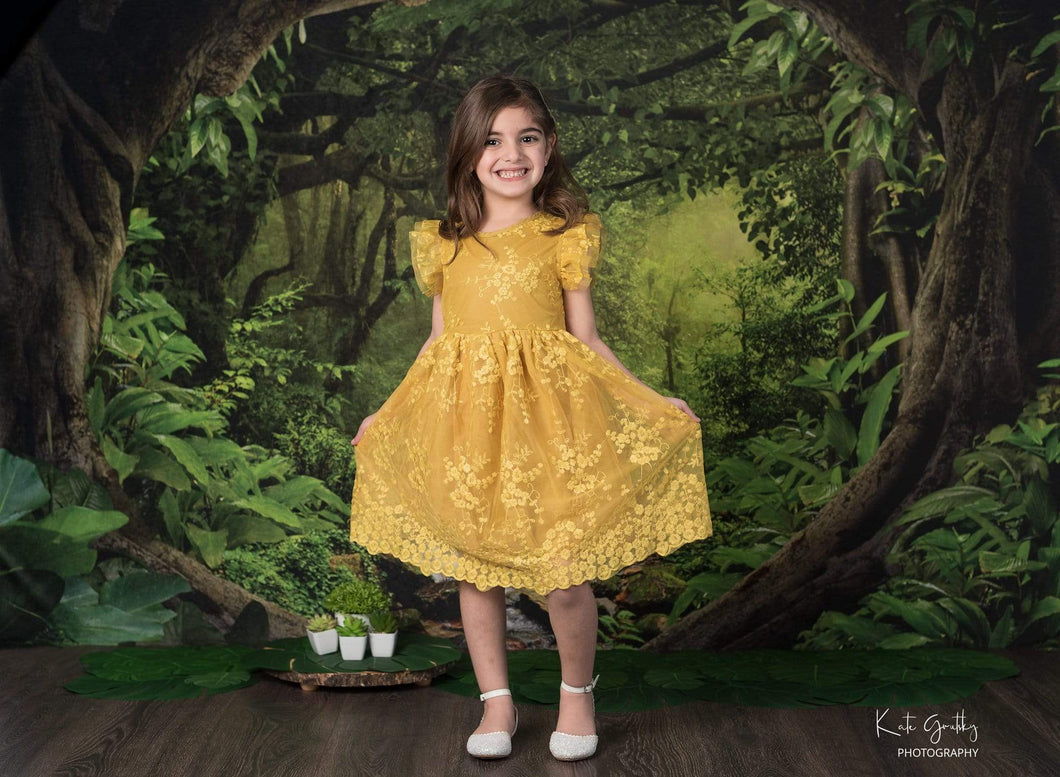 Katebackdrop：Kate Forest With Green Trees And Creek Spring for photography