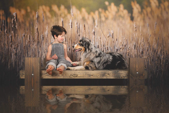Katebackdrop£ºKate Fall Reeds Scenery Backdrop Designed By Pine Park Collection