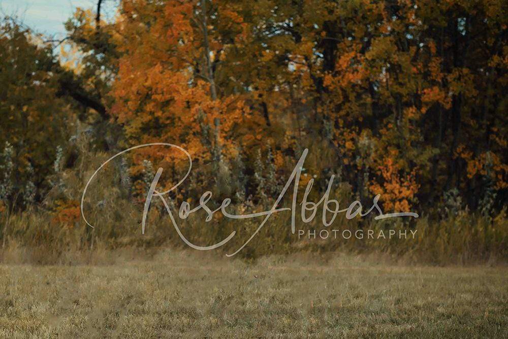 Katebackdrop£ºKate Fall's Foliage  Backdrop for Children and Family Photography Designed By Rose Abbas