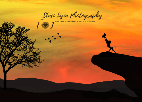 Katebackdrop£ºKate African Sunset Backdrop for Photography Designed By Stacilynnphotography