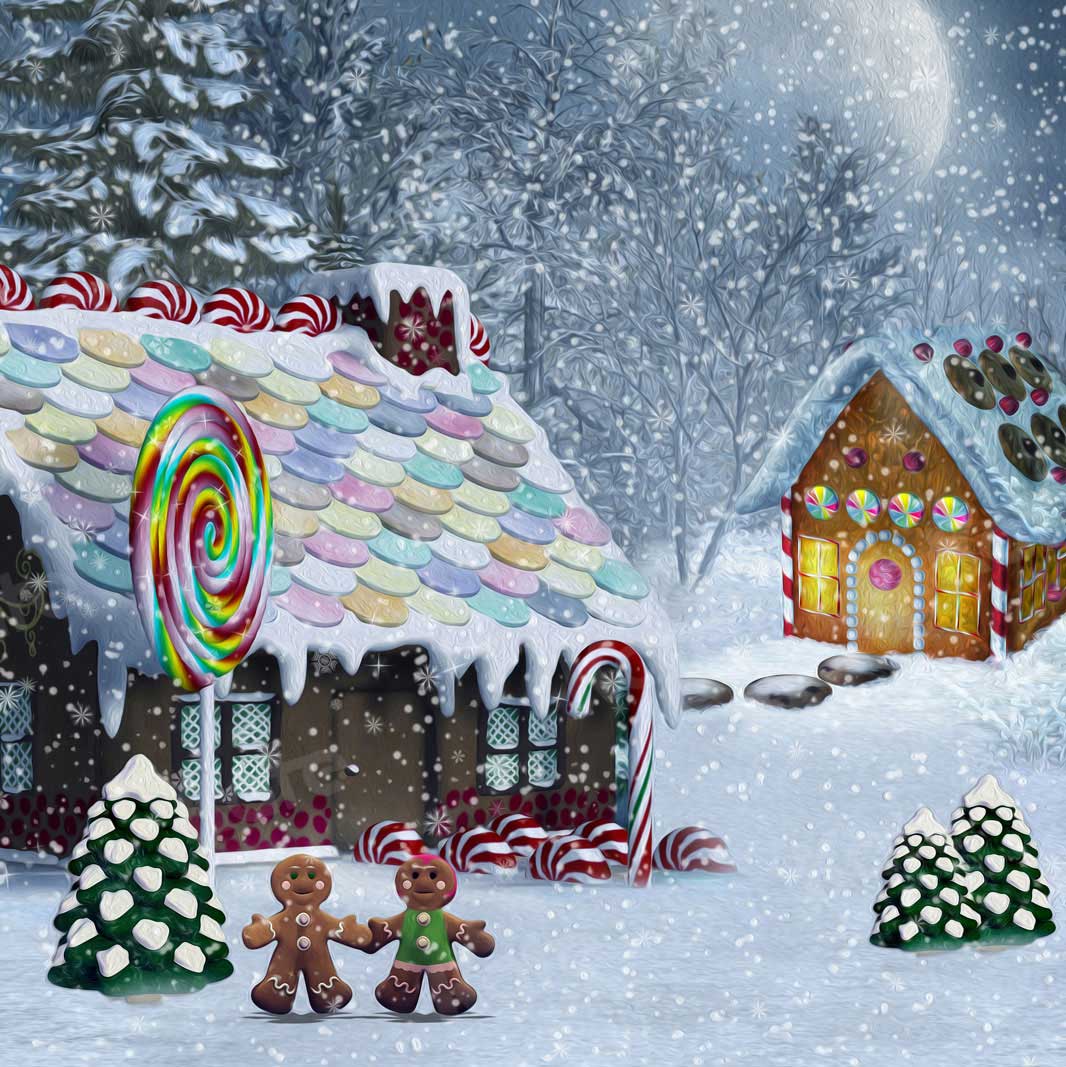 Kate Navidad nieve Casa de dulces Telón de fondo para fotografía